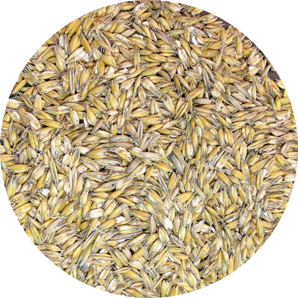 Bio Hafer gequetscht, 20kg